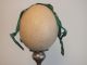 Antique Edwardian African Ostrich Egg With Empire Green Ribbon Xmas Decoration Other photo 5