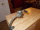 Antique 1990;s Enterprise Cast Iron Adjustable Wet The Raisins Seeder No 36 Primitives photo 2