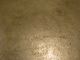 Antique Pewter Charger -,  Marked,  Ca.  1810,  European,  8 3/8 