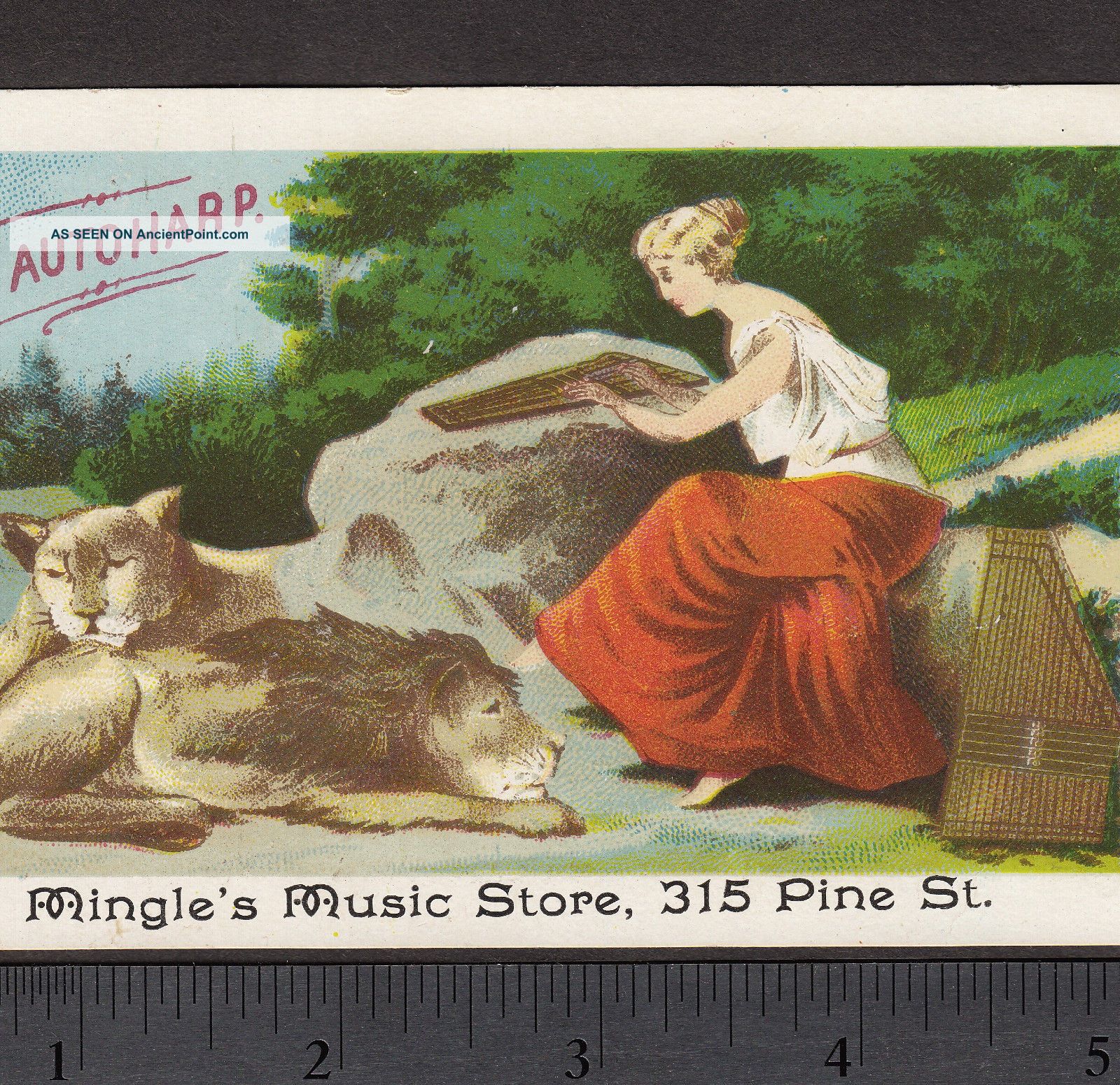 1880s Cf Zimmermann Autoharp Zither Mingle Music Lion Victorian Advertising Card String photo