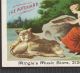 1880s Cf Zimmermann Autoharp Zither Mingle Music Lion Victorian Advertising Card String photo 3