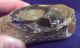 British Palaeolithic Flint Pebble Tool From Dorset England Neolithic & Paleolithic photo 5