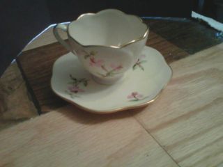 Vintage Saucer & Cup Devonshire Hand Painted Must See^^ - Hand Paint photo
