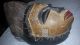 African Female Punu Mask,  From Gabon Africa Masks photo 2