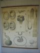 Very Old Paul Pfurtscheller Tapeworm School Wall Poster No.  69 Other photo 1