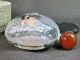 Chinese Big Belle Inside Hand Painted Glass Snuff Bottle:gift Box Snuff Bottles photo 6