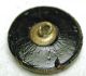 Antique Black Glass Button W/ Carnival Luster Rat & Radish - Scarce Buttons photo 2