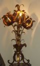 Set Of Antique Italian Gold Gilt Tole Tulip Swag Lamp/table Lamp/ceiling Light Chandeliers, Fixtures, Sconces photo 5