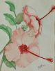 Antique Watercolor Art Deco Painting Pink Hibiscus Tropical Fnw 1941 Art Deco photo 1