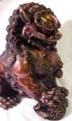 Finely Gild Carved China Red Bronze Guard Foo Dogs Lion Statue Great Patina Foo Dogs photo 8