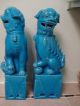 Estate Find 2 Turquoise - Colored Chinese Foo Dogs 14 