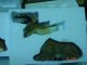 Of 5 Westland Giftgift Ware Bobbin Heads New In Box Primitives photo 1