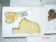 Of 5 Westland Giftgift Ware Bobbin Heads New In Box Primitives photo 3