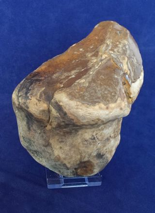 British Lower Palaeolithic Flint Tool From Dorset England photo