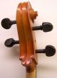 Tom - Klar Cervetto William Lewis & Son Model 1800 4/4 Full Size Cello Romania String photo 3