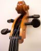 Tom - Klar Cervetto William Lewis & Son Model 1800 4/4 Full Size Cello Romania String photo 4