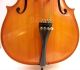 Tom - Klar Cervetto William Lewis & Son Model 1800 4/4 Full Size Cello Romania String photo 7