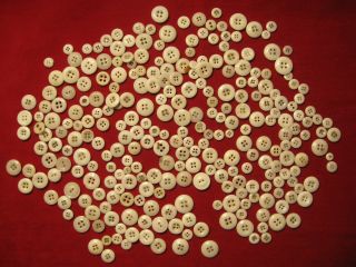 279 Antique China Buttons Off White Porcelain Reenactors Historical Clothing photo