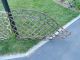 Antique Heavy Cast Iron Ornament Coming From Old Estate Barn (large) Metalware photo 1