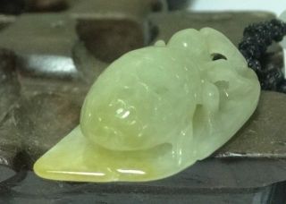 Yellow 100% Natural Grade A Jade Jadeite Pendant/chinese Cicada & Leaf photo