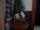 Primitive Folk Art Sheep Stick Legs Bells - Wreath Primitives photo 1
