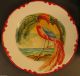 Old Hand Painted China Plates - Tropical Birds With Palm Trees And Ocean Plates & Chargers photo 2