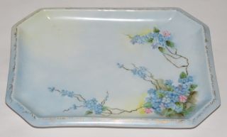 Antique W.  G.  & Co.  Limoges Hand Painted Artist Signed Porcelain Vanity Tray - Nr photo
