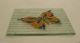 Butterfly Stained Glass Trivet Signed - 