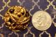 Antique Ornate Gilt Brass Metal Openwork Floral Realistic Flower Picture Button Buttons photo 1