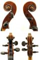 Antique Violin,  C.  1880,  Luthier Checked And Ready - To - Play, String photo 3