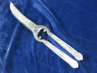 National Silver Co.  King Edward Moss Rose Poultry Shears W/ Stainless Blades photo