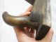 Antique Wooden Primitive Tool For Carving Wood,  Wood Surfaces,  Crafts,  Grater Primitives photo 6