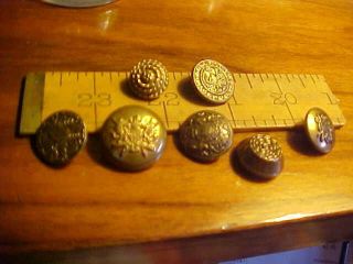 Group Of Vintage Griffin Dragon Shield Brass Marcasites Buttons Others Mixed photo