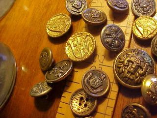 Group Of Vintage European Looking Shield Brass & Metal Buttons Others Mixed photo