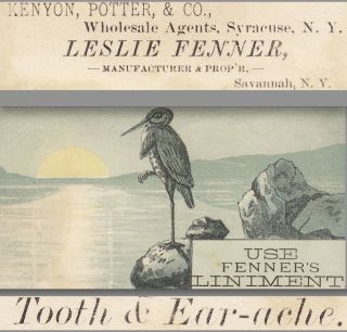 Fenner Liniment Man Or Beast Cure Teeth Piles Savannah Ny Advertising Trade Card photo