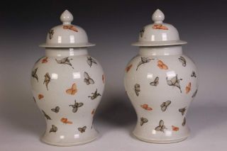 Fine Rare A Pair Chinese Famille Rose Porcelain Gilding Butterfly Pot photo
