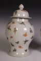 Fine Rare A Pair Chinese Famille Rose Porcelain Gilding Butterfly Pot Pots photo 1