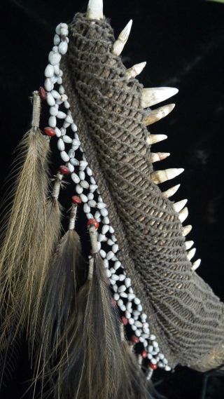 Crocodile Jaw Mas Kawin Papua New Guinea Tribal Ethnographic photo