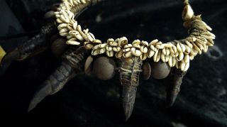 A Rare Cassowary Claw Necklace With Shels Papua New Guinea Tribal Ethnographic photo