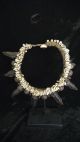 A Rare Cassowary Claw Necklace With Shels Papua New Guinea Tribal Ethnographic Pacific Islands & Oceania photo 1