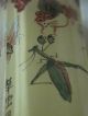 Antique Oriental Reverse Painting Perfume Snuff Bottle - Cricket,  Praying Mantis Perfume Bottles photo 2