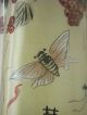 Antique Oriental Reverse Painting Perfume Snuff Bottle - Cricket,  Praying Mantis Perfume Bottles photo 4