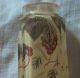 Antique Oriental Reverse Painting Perfume Snuff Bottle - Cricket,  Praying Mantis Perfume Bottles photo 5