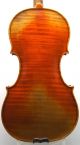 Exceptional Antique Czech Violin - Mathias Heinicke Geigenbaur Bohemia C.  S.  R.  1935 String photo 2