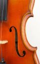Exceptional Antique Czech Violin - Mathias Heinicke Geigenbaur Bohemia C.  S.  R.  1935 String photo 6