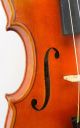 Exceptional Antique Czech Violin - Mathias Heinicke Geigenbaur Bohemia C.  S.  R.  1935 String photo 7