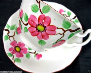Adderley Pinky Blossoms Tea Cup And Saucer Duo Flowery photo