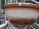 Primitive Shabby Antique 