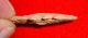 Fine Sahara Neolithic Eccentric Point,  Collectible Prehistoric African Arrowhead Neolithic & Paleolithic photo 2