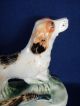 Pioneer Dog Porcelain Figurine W/ Pheasant,  Hand Painted,  Japan Figurines photo 1